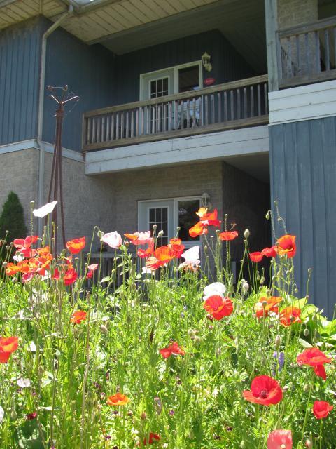 Highlands Four Season Resort Calabogie Buitenkant foto